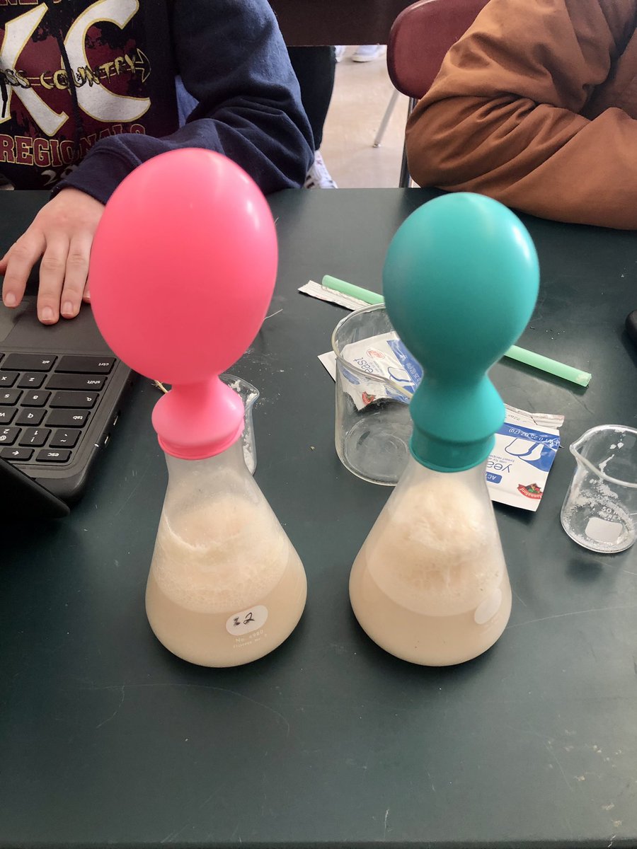 KirbyScience202's tweet photo. Biology students studied the rate of fermentation today in the lab!!! #Kirbyscience111 #AroostookCTOY @EARSU39 https://t.co/xwcQlaWiOE