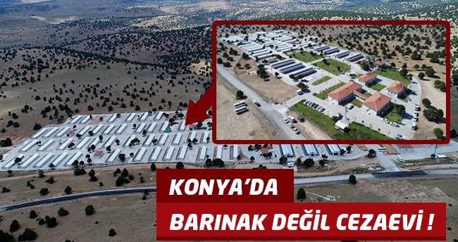 Bu bir uzlaşma çağrısıdır, aksi halde dava açılacaktır! Hayvanlara yönelik hak ihlallerinin en çok yaşandığı şehirlerden olan Konya'da <a href="/Konyabuyuksehir/">Konya Büyükşehir Belediyesi 🇹🇷</a> durmuyor! <a href="/milliparklar/">Milli Parklar</a> <a href="/Konya8Bolge/">DKMP 8.Bölge Konya</a> <a href="/KonyaDKMP/">Konya DKMP</a> @ismailuzmez42 <a href="/TcTarim/">T.C. Tarım ve Orman Bakanlığı</a> sizi göreve davet ediyoruz!