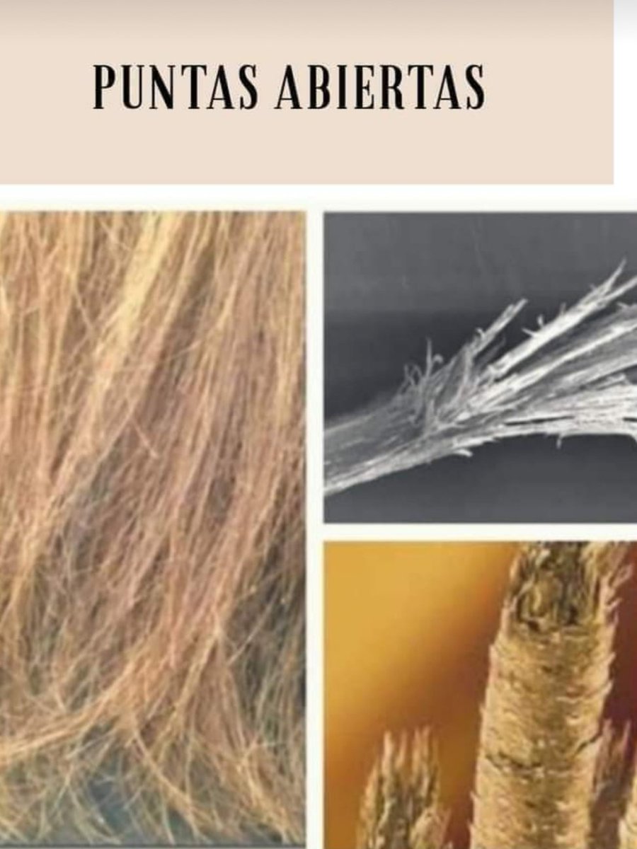 MezaFrine's tweet photo. Lo mejor para tu cabello https://t.co/yBRjKtStRX