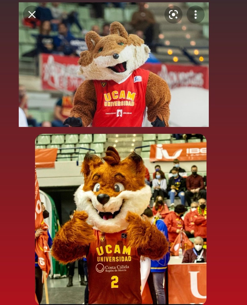 EncarniPJ's tweet photo. Je je no ¿Qué ha pachao? 💁🏻‍♀️ #Vulpi @UCAMMurcia 😉 https://t.co/eyLPsck3ng