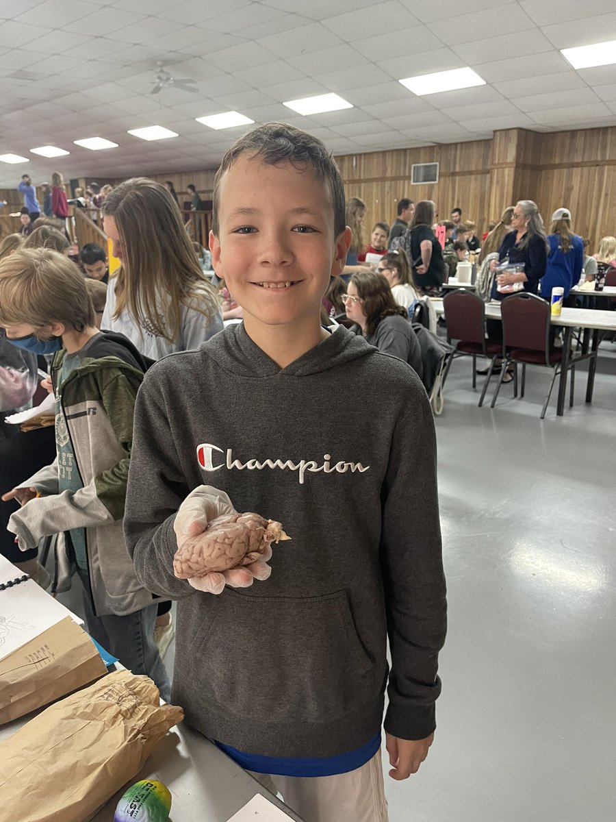 tenillerauls's tweet image. CSI was a great success today! #braindissections #whodidit