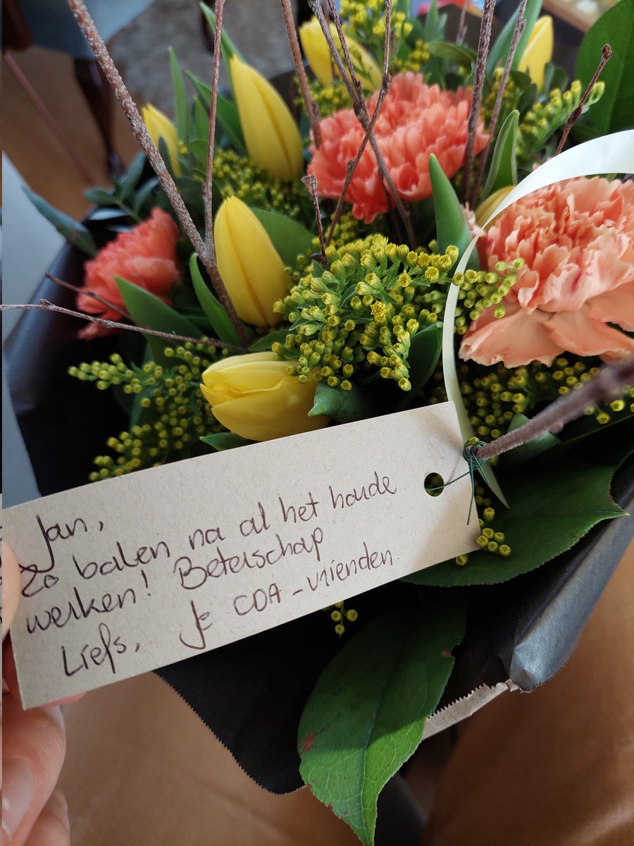 Jan van Dam Timmers tweet media