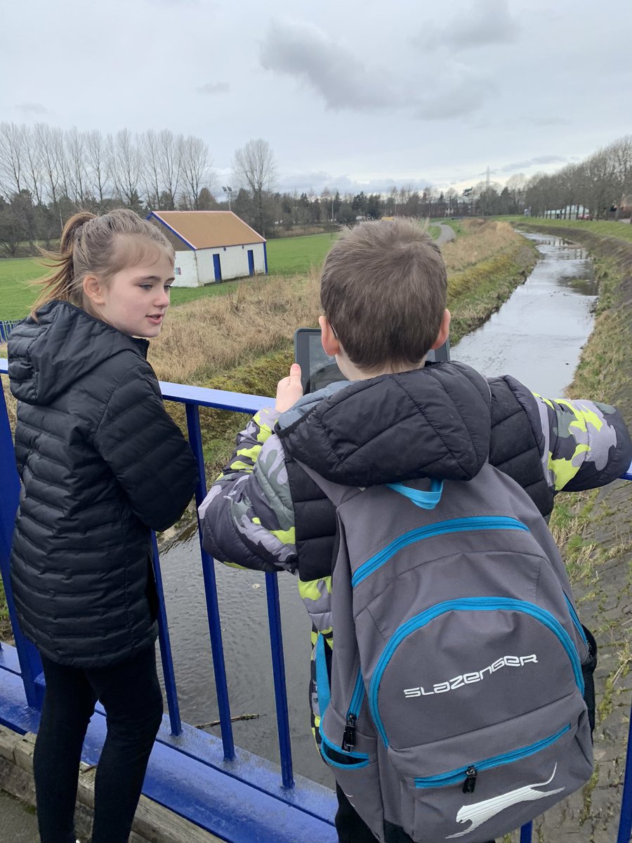 P5/4F and Mrs Ferguson tweet media