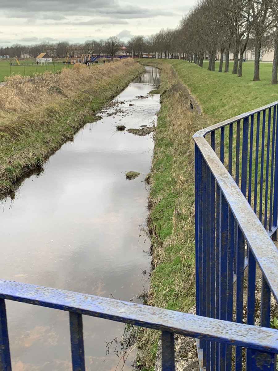 P5/4F and Mrs Ferguson (@bowhousep5_4f) on Twitter photo I had a lovely afternoon with @BowhouseP6M on our research walk for our STEM flood prevention project. We captured some images of wildlife and litter to contribute to our posters that we will be making in our French lesson next week. <a href="/FMorrisonSTEM/">Grangemouth STEM</a> I had a lovely afternoon with @BowhouseP6M on our research walk for our STEM flood prevention project. We captured some images of wildlife and litter to contribute to our posters that we will be making in our French lesson next week. <a href="/FMorrisonSTEM/">Grangemouth STEM</a>