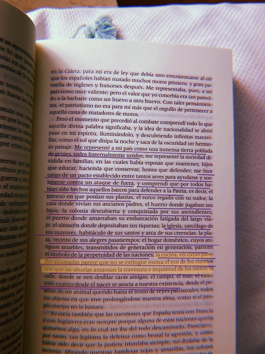 marugancastillo's tweet photo. «Por primera vez entonces percibí,con completa claridad la idea de la Patria,» ... «Me representé a mi país como una inmensa tierra poblada de gentes, todos fraternalmente unidos.»

#Galdos #Trafalgar https://t.co/R2Gk47cPhO