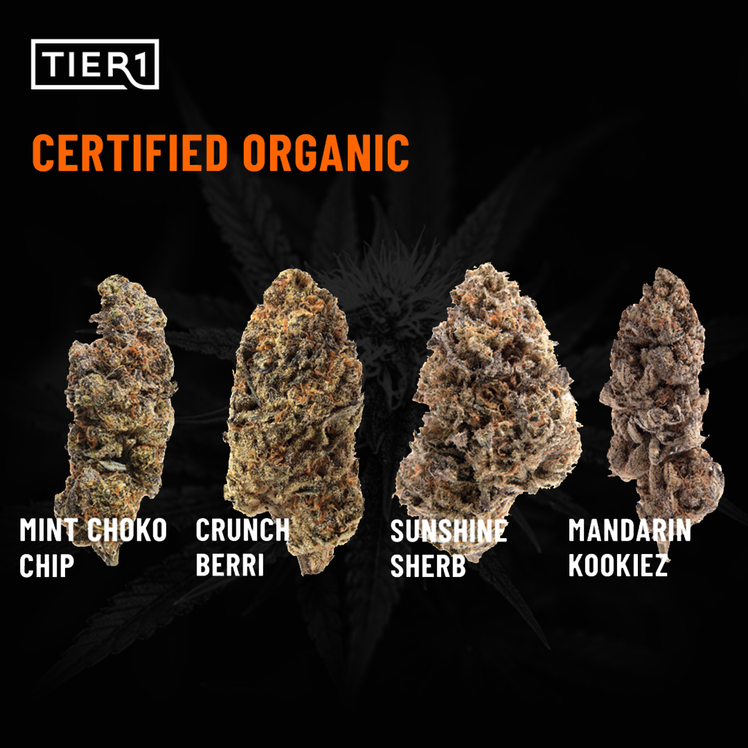 Tier1reserve's tweet photo. CERTIFIED ORGANIC®
Our premium cultivars are engineered to be enjoyed. Small batches. Big experiences.

Which one are you starting your Organic Journey with?

Tags: #acreagepharms #crunchberri #mintchokochip #sunshinsherb #mandarinkookiez #tier1reserve https://t.co/JBk86pnBYE