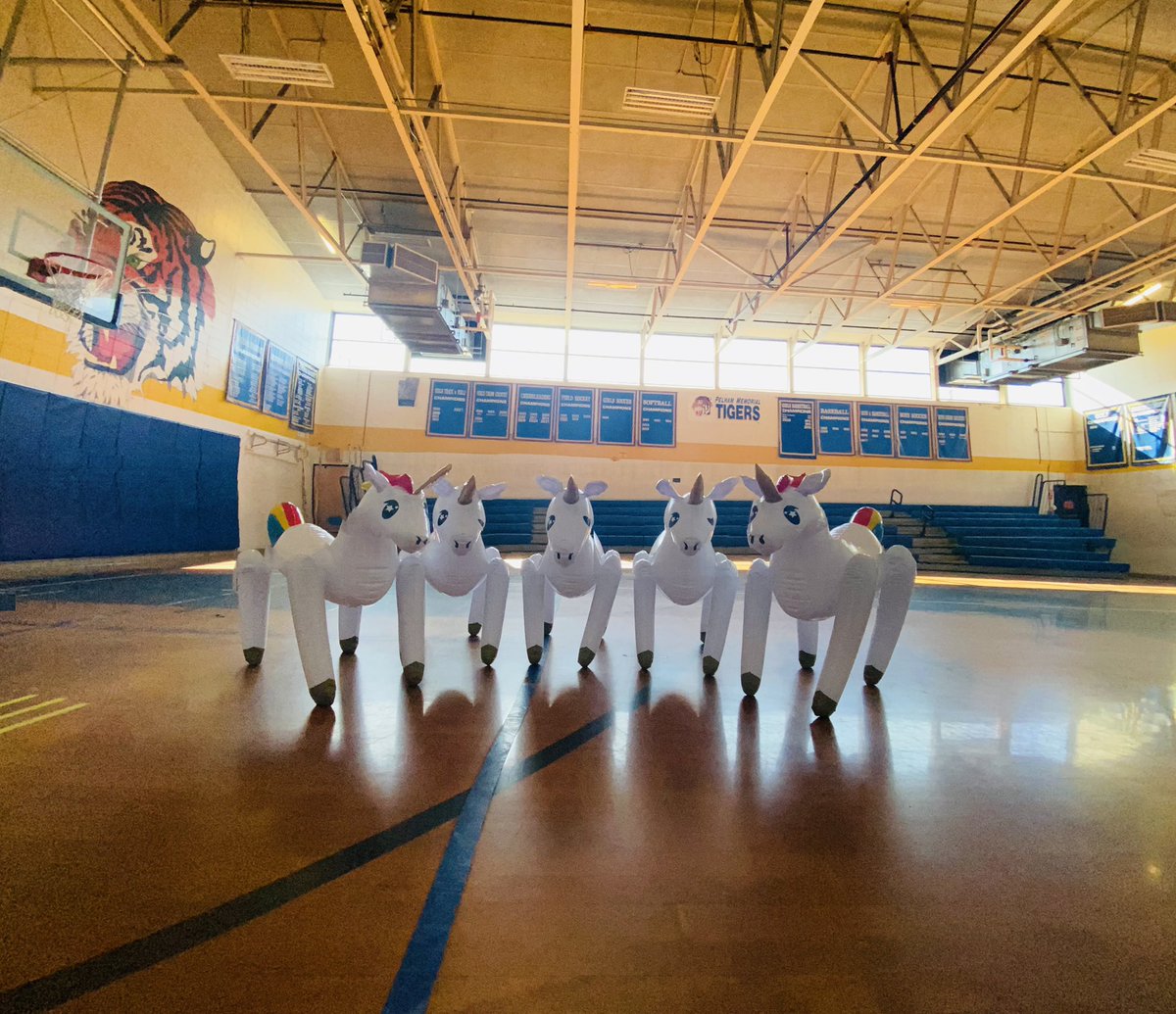 ATubaToothpaste's tweet image. IT’S BANDAPALOOZA WEEK! 
#PMSbands #pelhamproud