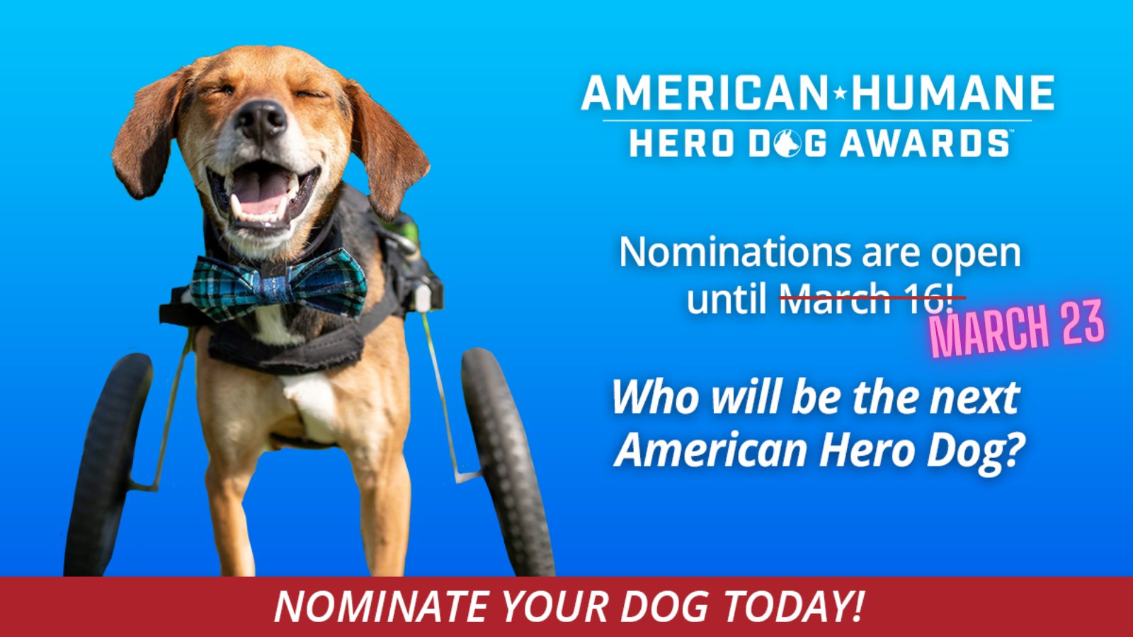 Hero Dog Awards (HeroDogAwards) / Twitter
