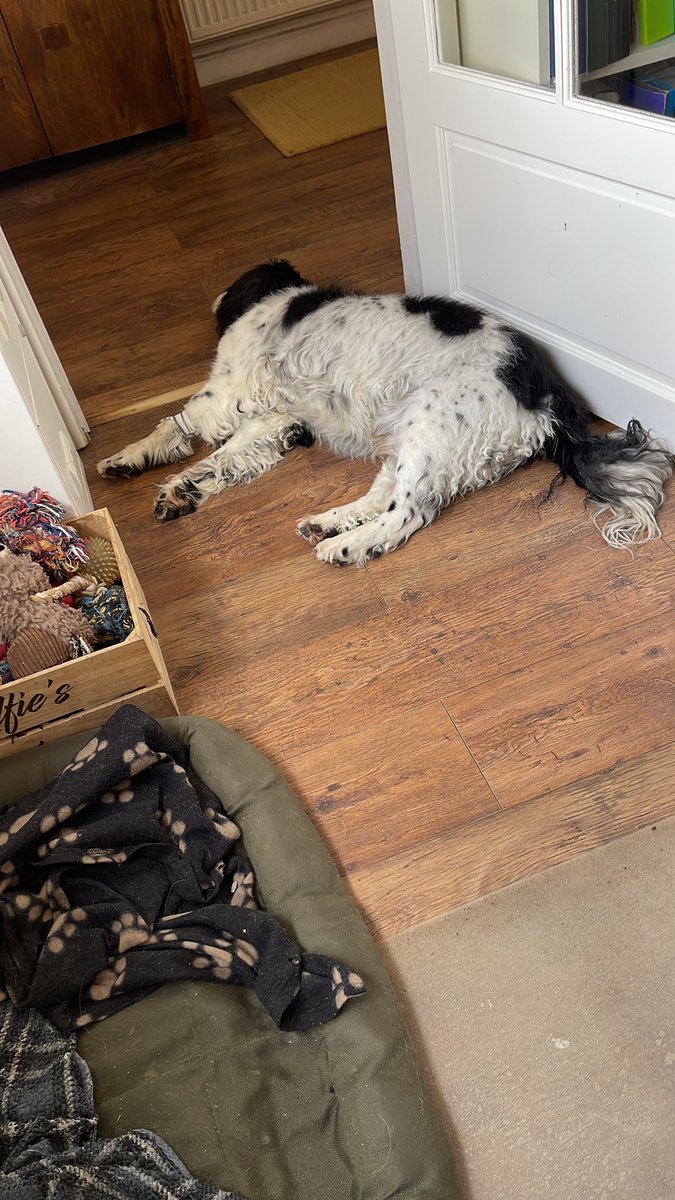 Guys - have been on meds for a bit to keep me calm - yes they work zzzzz