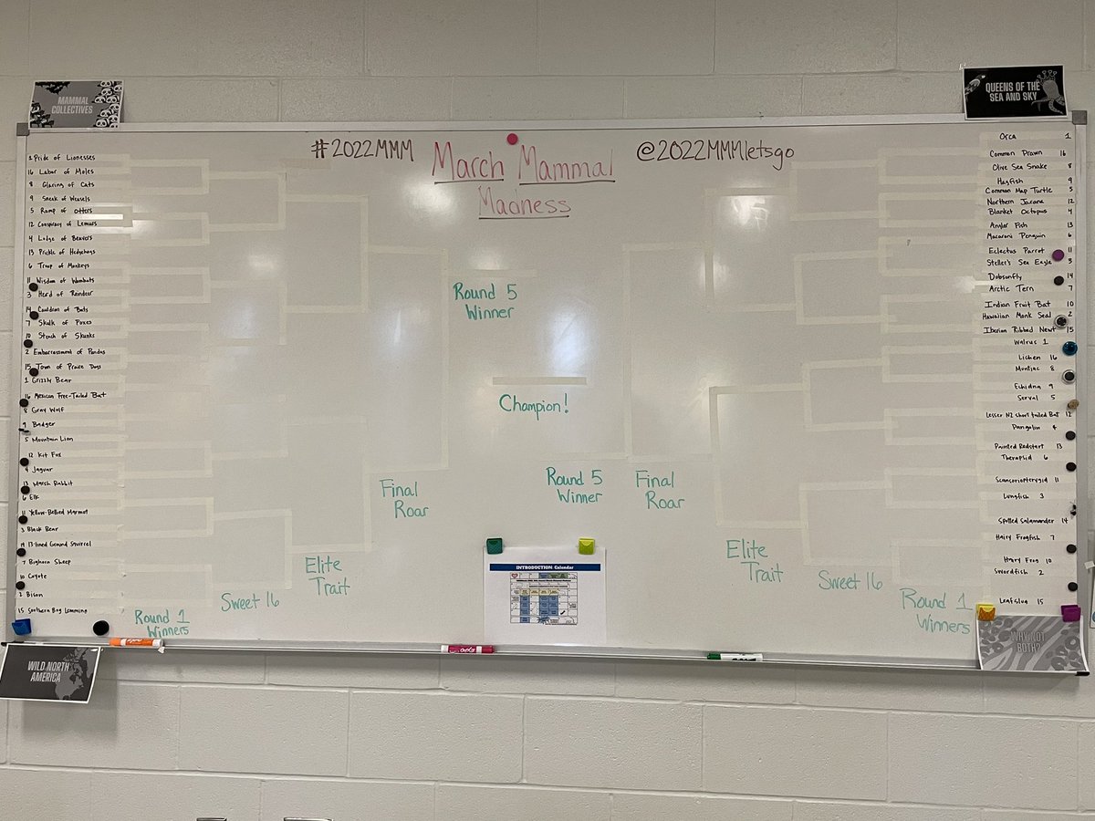 MissK_CGHS's tweet photo. We are ready! Let the games begin! @2022MMMletsgo @Der0uin @Academicscghsnc #2022MMM #APBioCGHS https://t.co/8PnarbLPEw