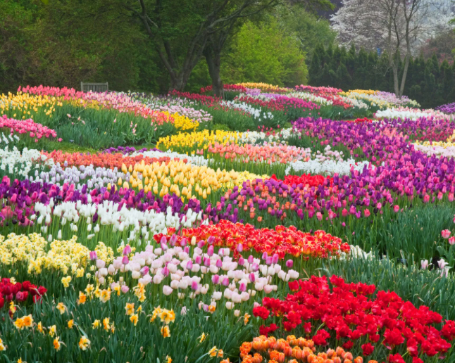 LiveLikeLucas14's tweet photo. Every child is a different kind of flower that altogether make this world a beautiful garden

LIVE LIKE LUCAS!!! https://t.co/J0rwh7gWcz