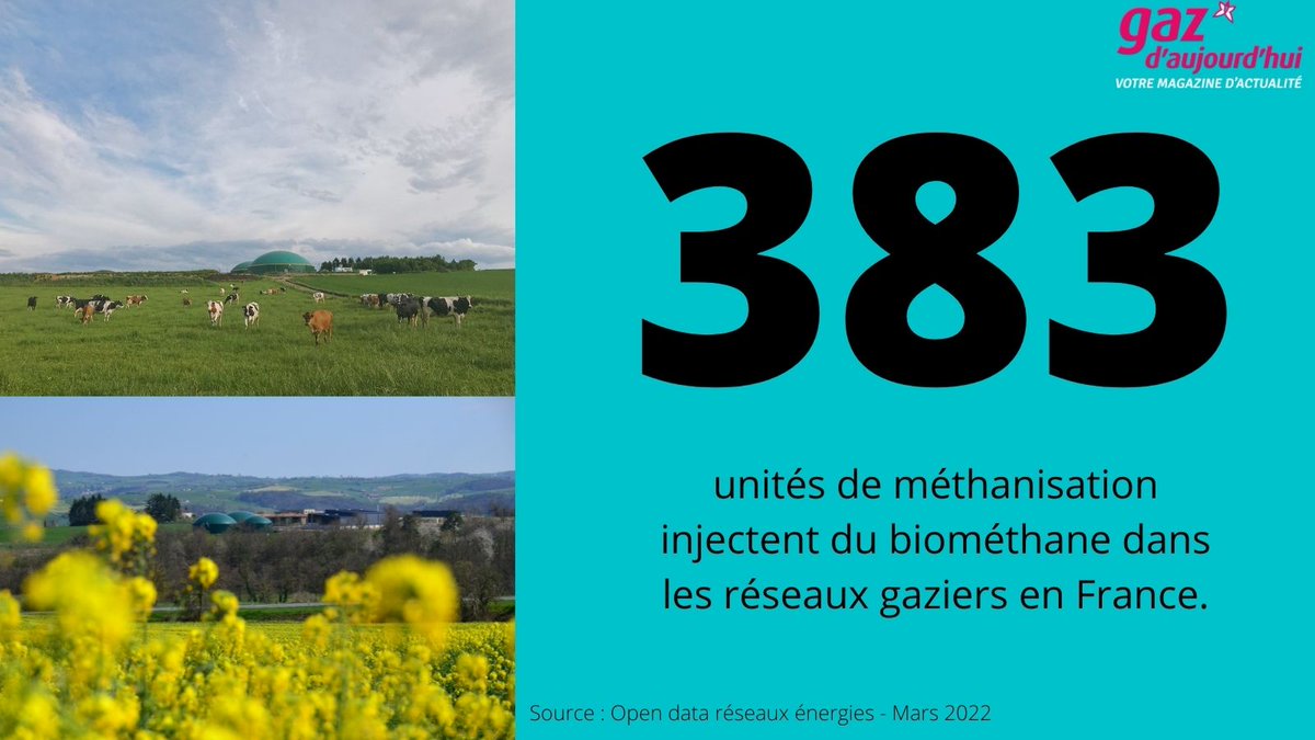[#Data]Selon <a href="/reseauxenergies/">OpenDataRéseauxÉnergies #ODRÉ</a>,383 sites injectent actuellement du #biométhane dans les réseaux🇫🇷
📌18 sites ont été mis en service depuis le 1er janvier
📌959 GWh produit depuis 1/22 soit près de 80 000 logements alimentés en #gazvert 
📌<a href="/regiongrandest/">Région Grand Est</a> injecte le➕de #biomethane