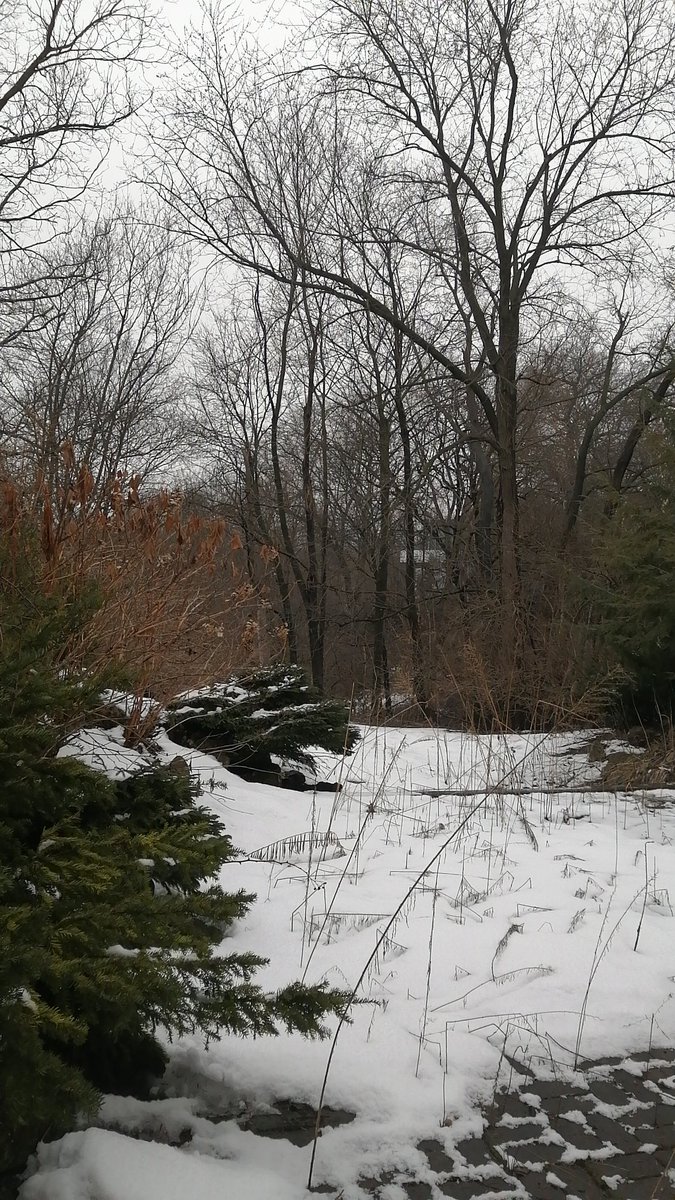 danlel92's tweet photo. #snow https://t.co/52BsE0vM4h