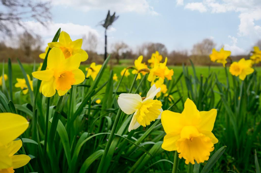 The Property Hub tweet media