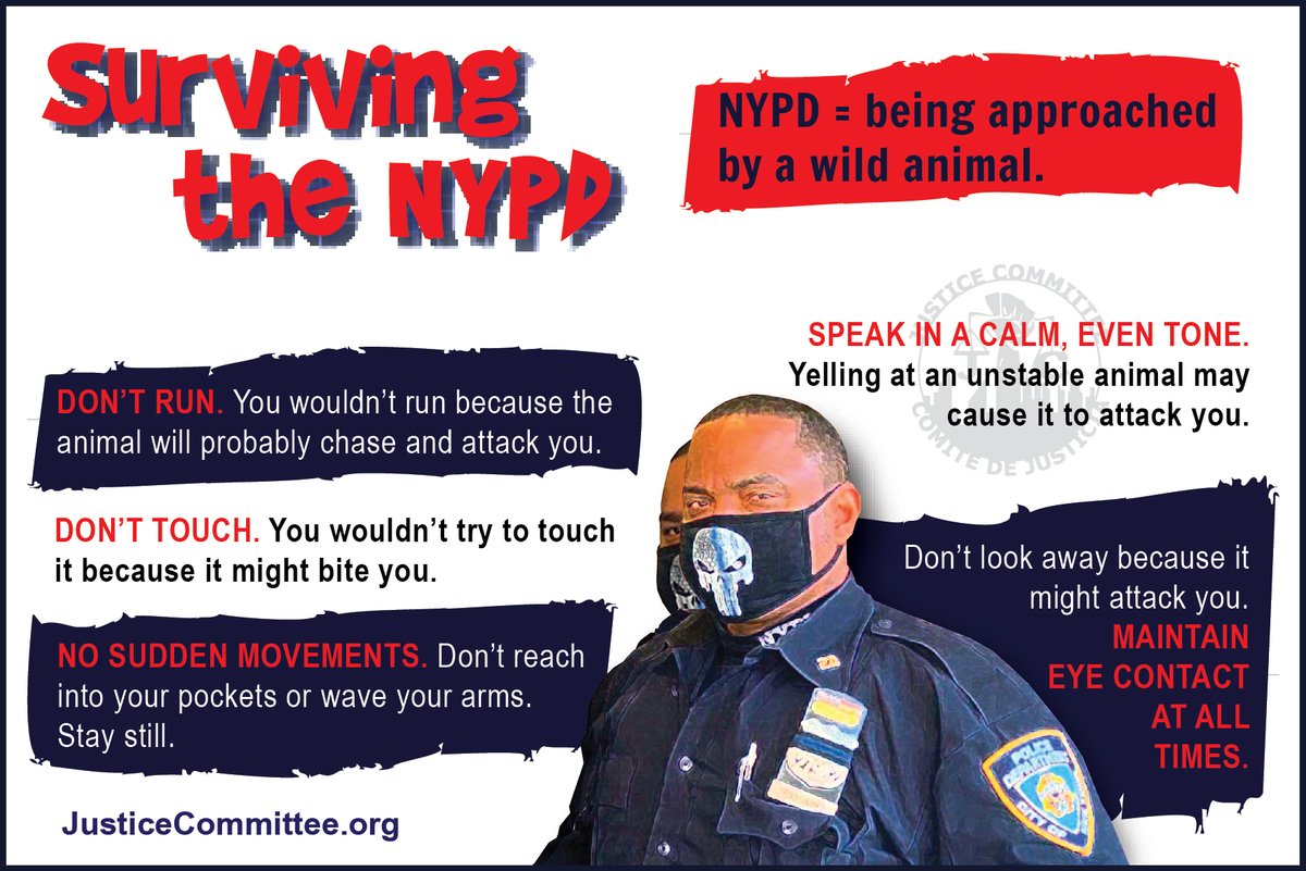 watchthecops's tweet photo. These are dangerous times: @NYCMayor is criminalizing our communities w/ his Neighborhood Safety Teams & today he tried to criminalize CopWatchers. We must #LoveAndProtect each other! Check out & share these tips for surviving the #NYPD. #CopWatch #WatchTheCops https://t.co/El6w5gddjA
