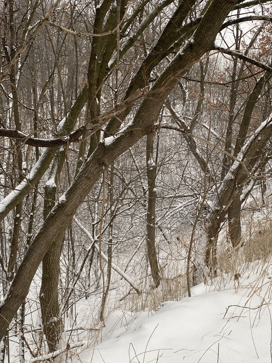 JennbearXo's tweet photo. @FreedomMobile I would definitely say Toronto, there’s so many places and so much natural wonders to see I wouldn’t know where to start or end. https://t.co/7sW6nqYVyH