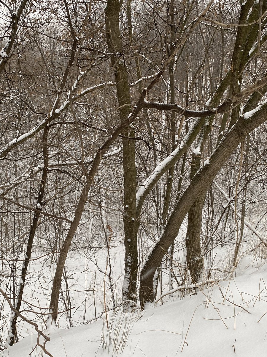 JennbearXo's tweet photo. @FreedomMobile I would definitely say Toronto, there’s so many places and so much natural wonders to see I wouldn’t know where to start or end. https://t.co/7sW6nqYVyH