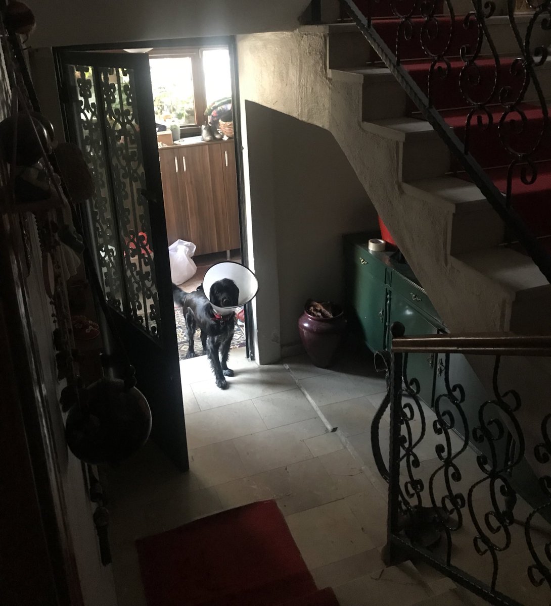 çok zor geçti ama başardım glb çok güçlü bi kızım🤓