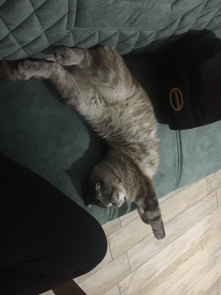 tknfkrt's tweet photo. Nöbetten gelmişimdir ama nöbeti sanki başkası için tutmuşumdur 😒 o sırada başkası😒 https://t.co/ssUaWP1YAG