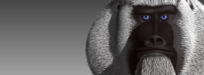 XMandrill's tweet photo. Hey Apeish Mandrills 🦍!
We’re not sleeping!
Share us your emotions under comments about this sneak peek here!
We’re excited to reveal these guys for you one by one very shortly!
Are you #Mandrillish?
#XRP #XRPCommunity #XRPArmy #XMND https://t.co/3o28dGWq6G