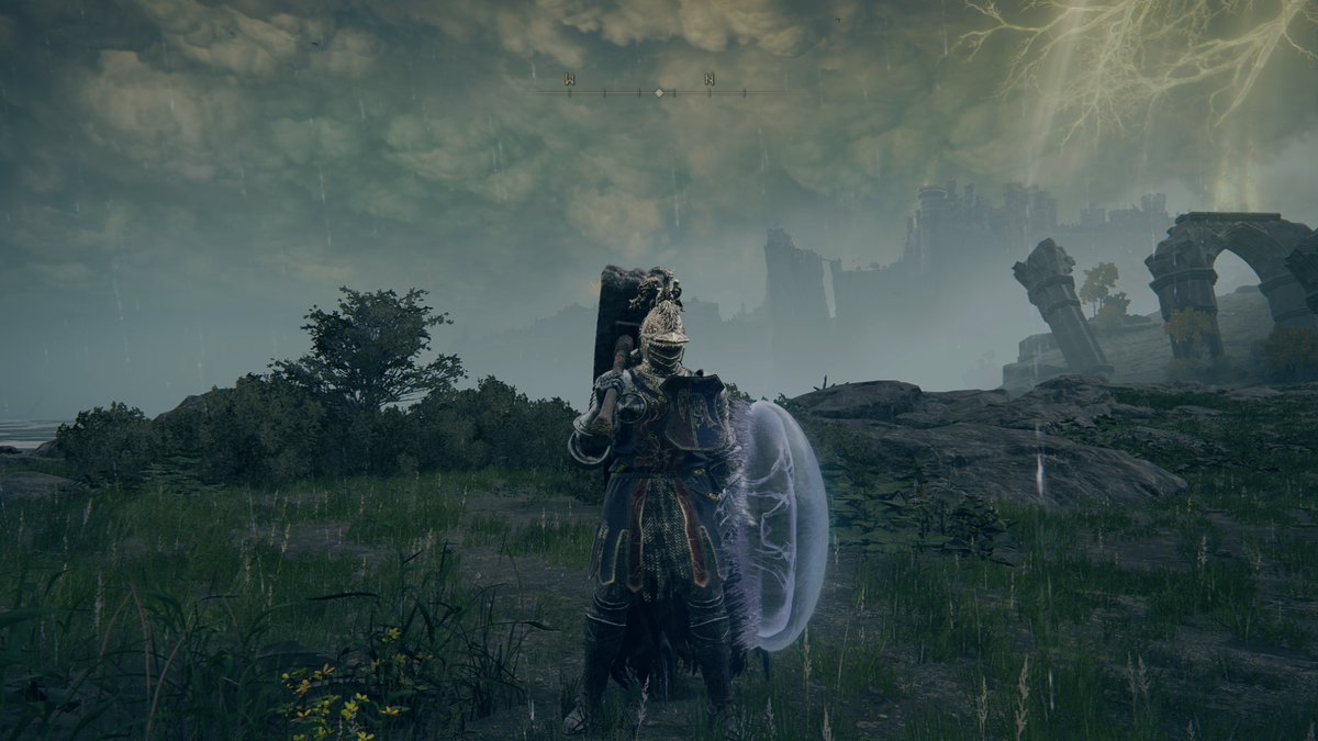 Jellyfish shield 4 life