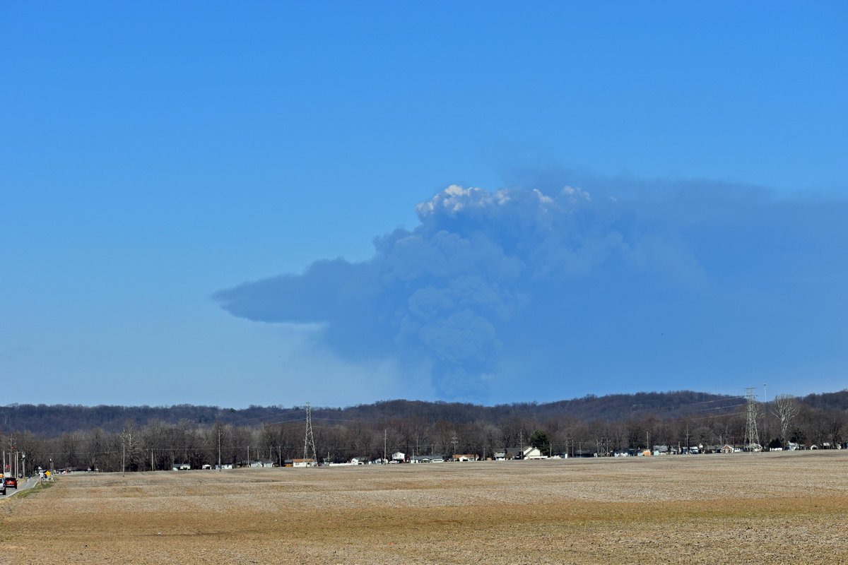 Layne Cameron tweet media