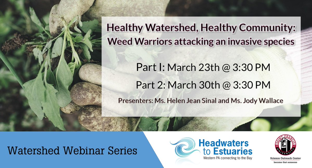 SFUOutreach's tweet photo. Healthy Watershed, Healthy Community
FREE WEBINAR 
Mar. 23, 2022 (Part I) 3:30-4:30 pm
Learn about a student-driven project providing a creative and innovative approach to remove invasive plants &amp; restore them w/ natives. Act 48 credit available. Sign up: https://t.co/b5D9aaz18s https://t.co/0oUsHG3cPC