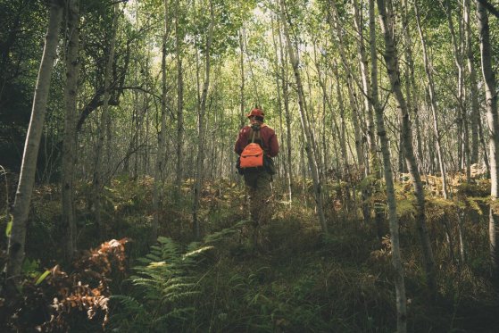 UplandAlmanac's tweet photo. New Forest-Product Industry Partnerships Helps RGS/AWS Scale-Up Habitat Improvement
by Ben Larson, from the Ruffed Grouse Society/American Woodcock Society
Read the story at: https://t.co/nlDxjy2vEH https://t.co/gabXbK6EU4