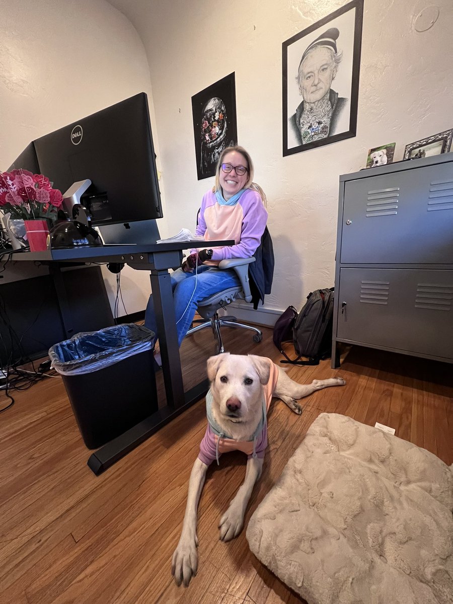 jamiecobbeditor's tweet photo. @Dr0id What do you mean by dressing like your dog at work is not a thing? #Charlie https://t.co/4PftxfH8V3