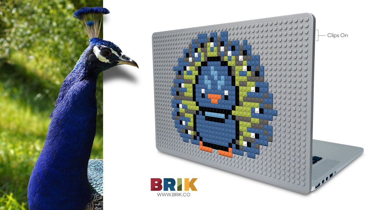 What makes the feathers of peacocks so unique and beautiful?  The feathers of peacocks possess microscopic ‘crystal-like structures’, which tend to reflect various wavelengths of lights based on their spacing. #peacock #peacockart  #brikbuild #lego #afol brik.co/blogs/designs/…