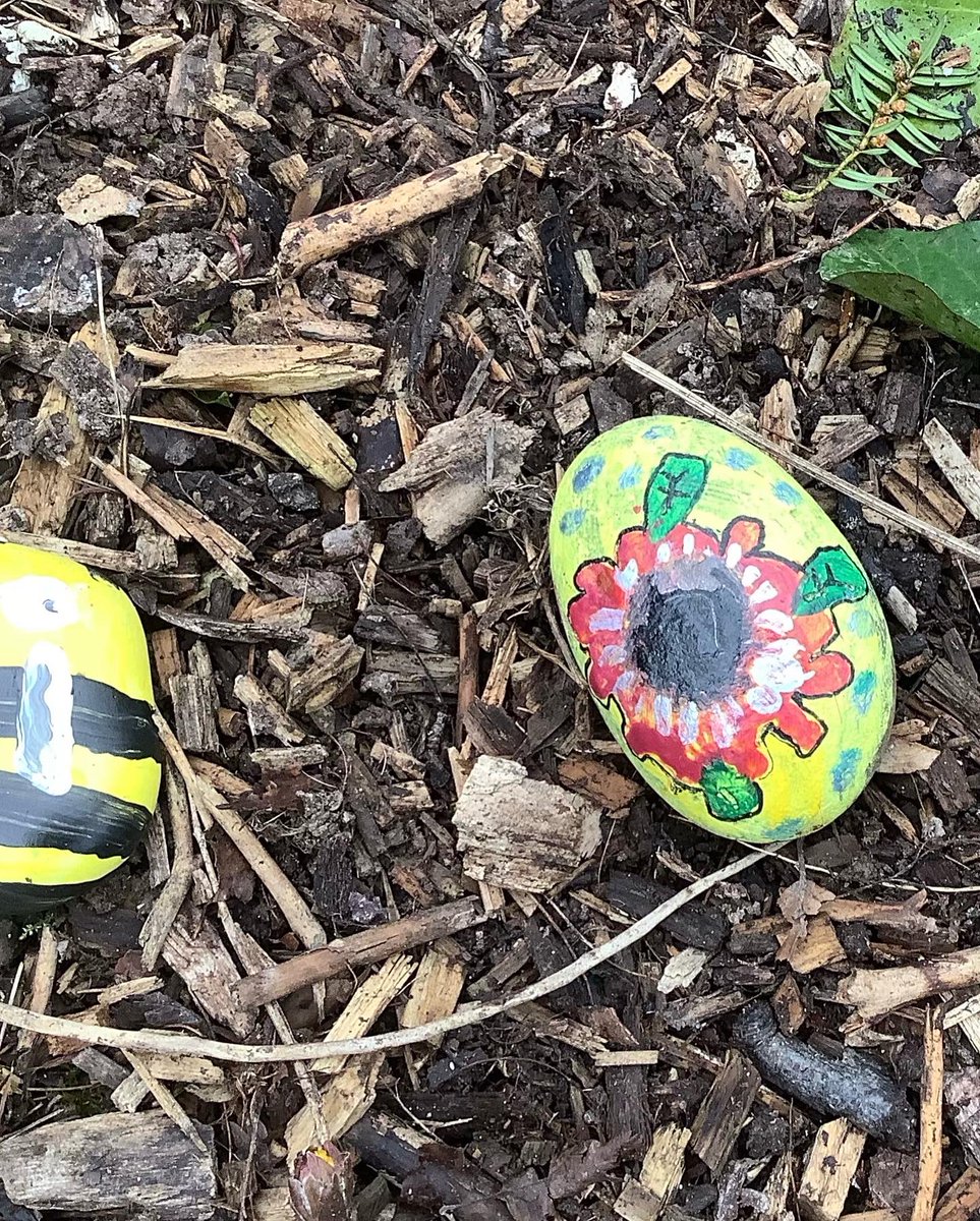 ArtCaterham's tweet photo. The first collection of the Prep and Pre-Prep painted Giving Day stones were placed in Old Park Wood this afternoon. They will bring a smile to the faces of the many children and members of the Caterham community that walk by #CreateABuzz #caterhamprep #bekind #behappy #art https://t.co/HbVkXbbELD