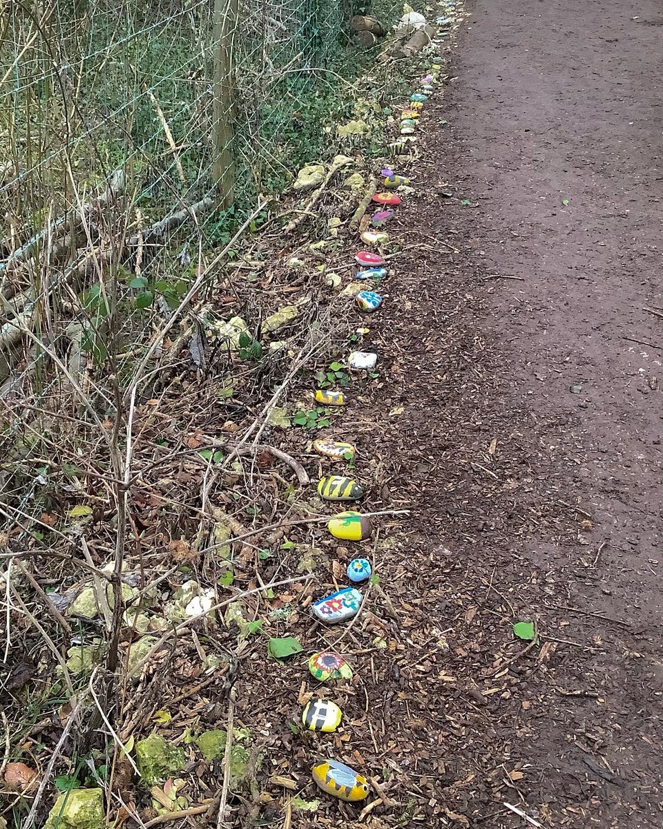 ArtCaterham's tweet photo. The first collection of the Prep and Pre-Prep painted Giving Day stones were placed in Old Park Wood this afternoon. They will bring a smile to the faces of the many children and members of the Caterham community that walk by #CreateABuzz #caterhamprep #bekind #behappy #art https://t.co/HbVkXbbELD