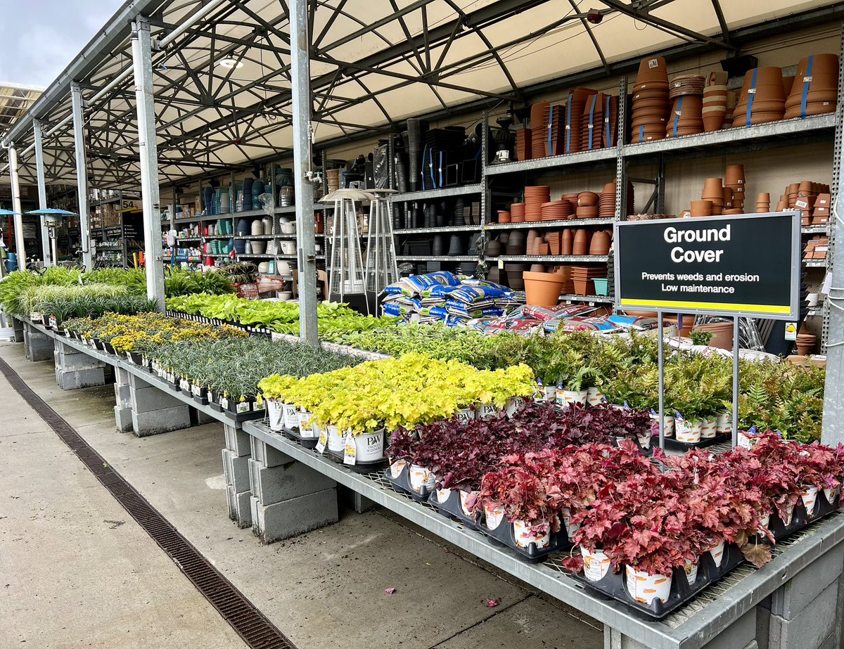 shanecombscobb's tweet photo. It's all happening at Wendover #HD3608 ! Our first shipment of Hostas and Autumn ferns today, plus much, much more! 🌱🌿🌸
#metrolinaproud #spring 
@pps_s_atlantic @JarrettBennett3 @PPSinHD @billyoneal123 @merritt_jen https://t.co/7z1DbX36qM