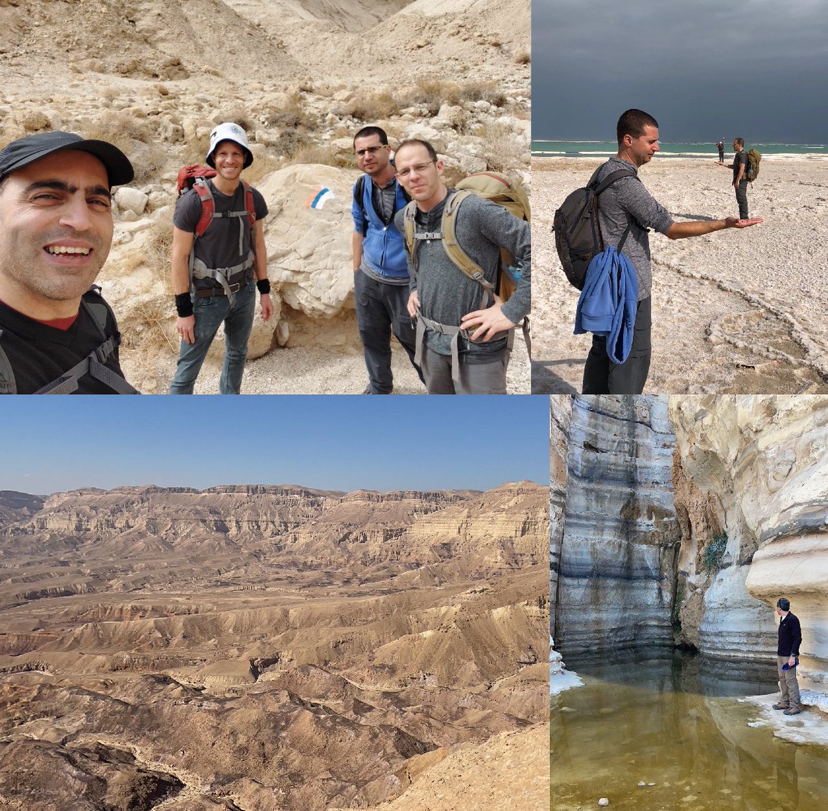 Omri Green tweet media