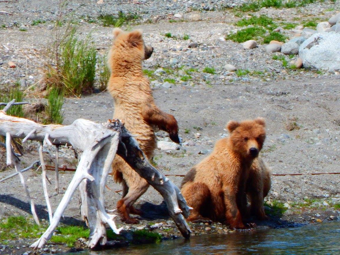 Nicole Guinn tweet media