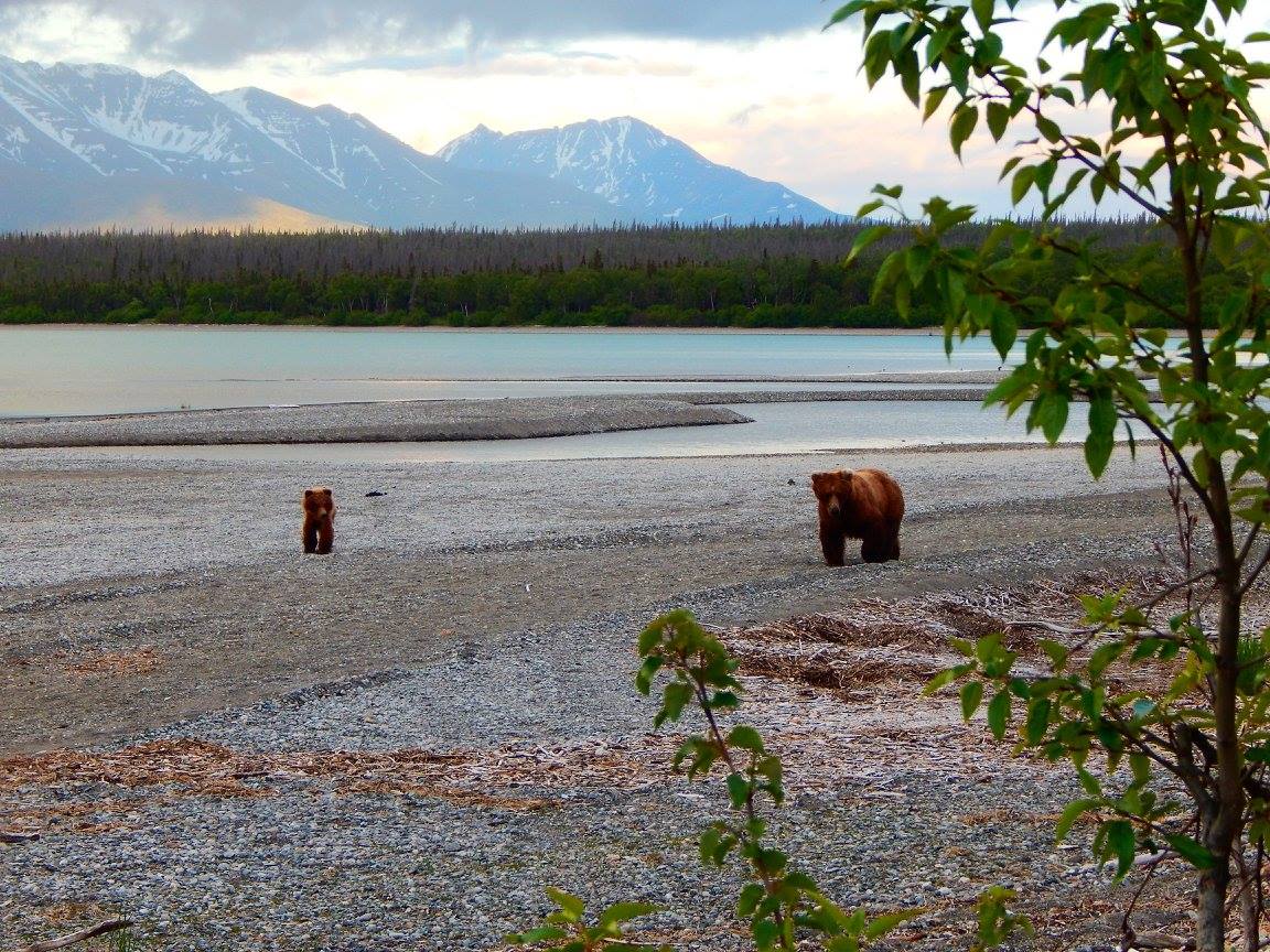 Nicole Guinn tweet media