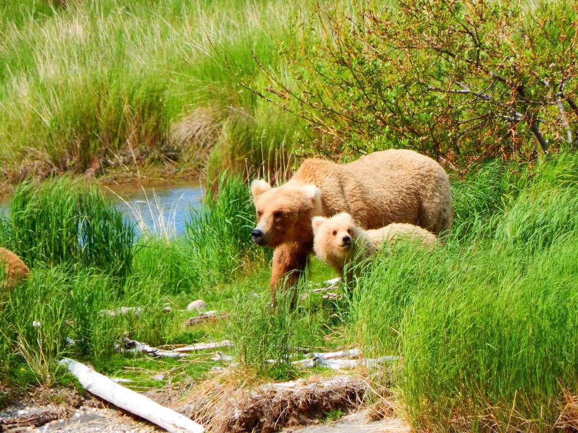 Nicole Guinn tweet media