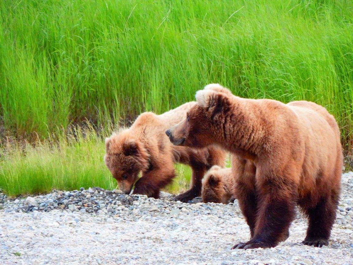 Nicole Guinn tweet media