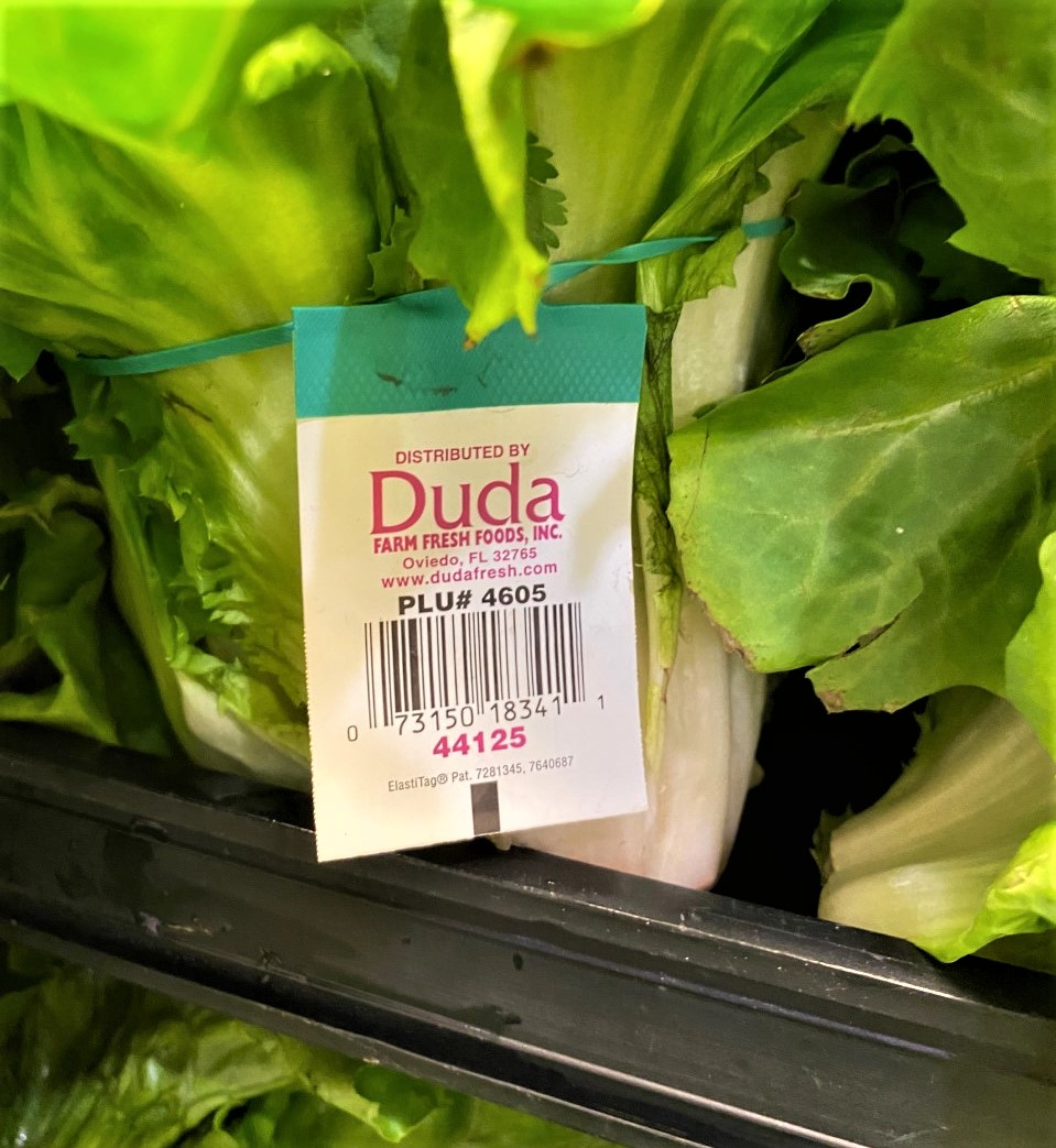 RadioVegan's tweet photo. @bobcesca_go @MichaelJElston So I'm shopping at Publix, see this tag, and immediately in my head I hear, "Look out! Camptown Ladies sing this song..." #LookWhatYouveDoneToMe https://t.co/pZpIe1d6kA