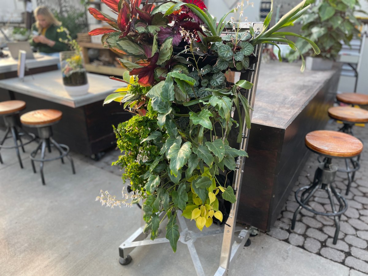 Vardening's tweet photo. Great visit and tour at Colonial Gardens in KC yesterday and got to see one of our Vertical Garden Racks in action! #colonial_gardens #verticalgardening #vardenverticalgardens #KC https://t.co/xf3Q06K3EX