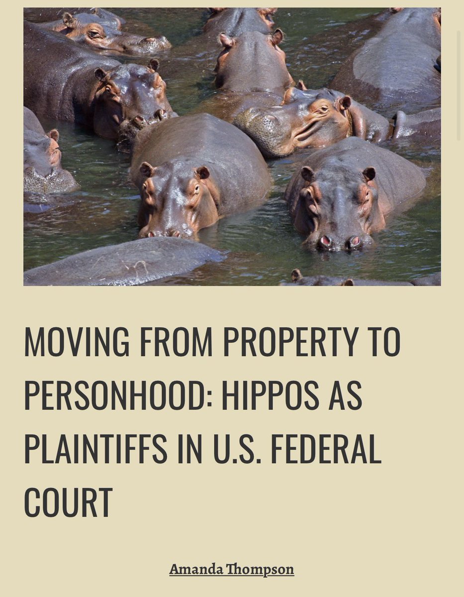 Wᴀᴋᴇ Fᴏʀᴇsᴛ J.L. & Pᴏʟ'ʏ tweet media