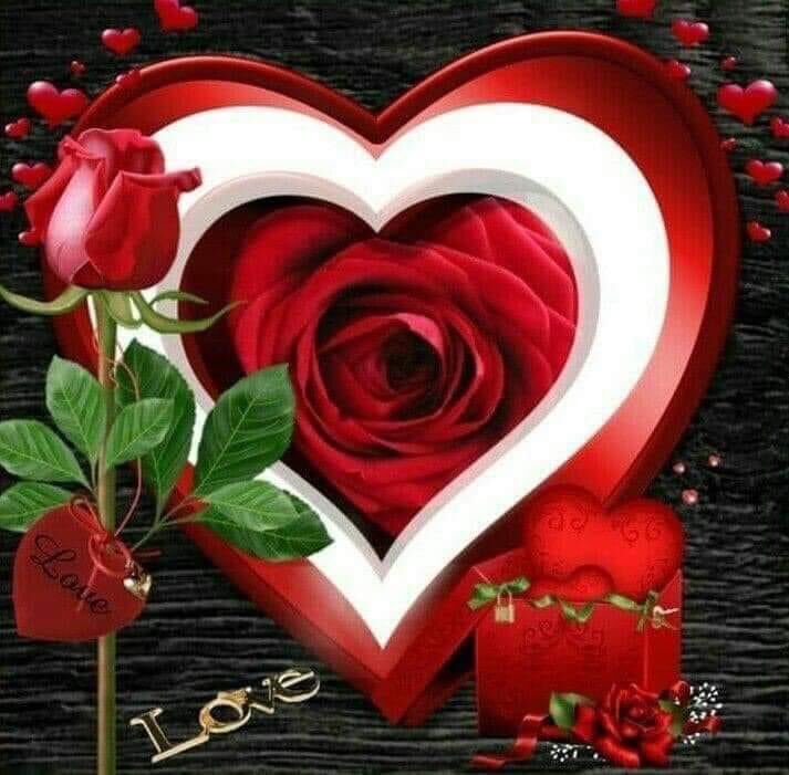 Hayirli geceler güzel kalpli güzel insan lar herkes hayirli geceler diliyorum