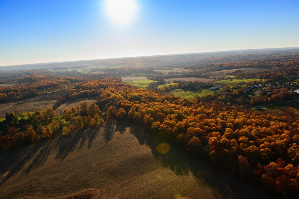 Councilman David Yungmann tweet media