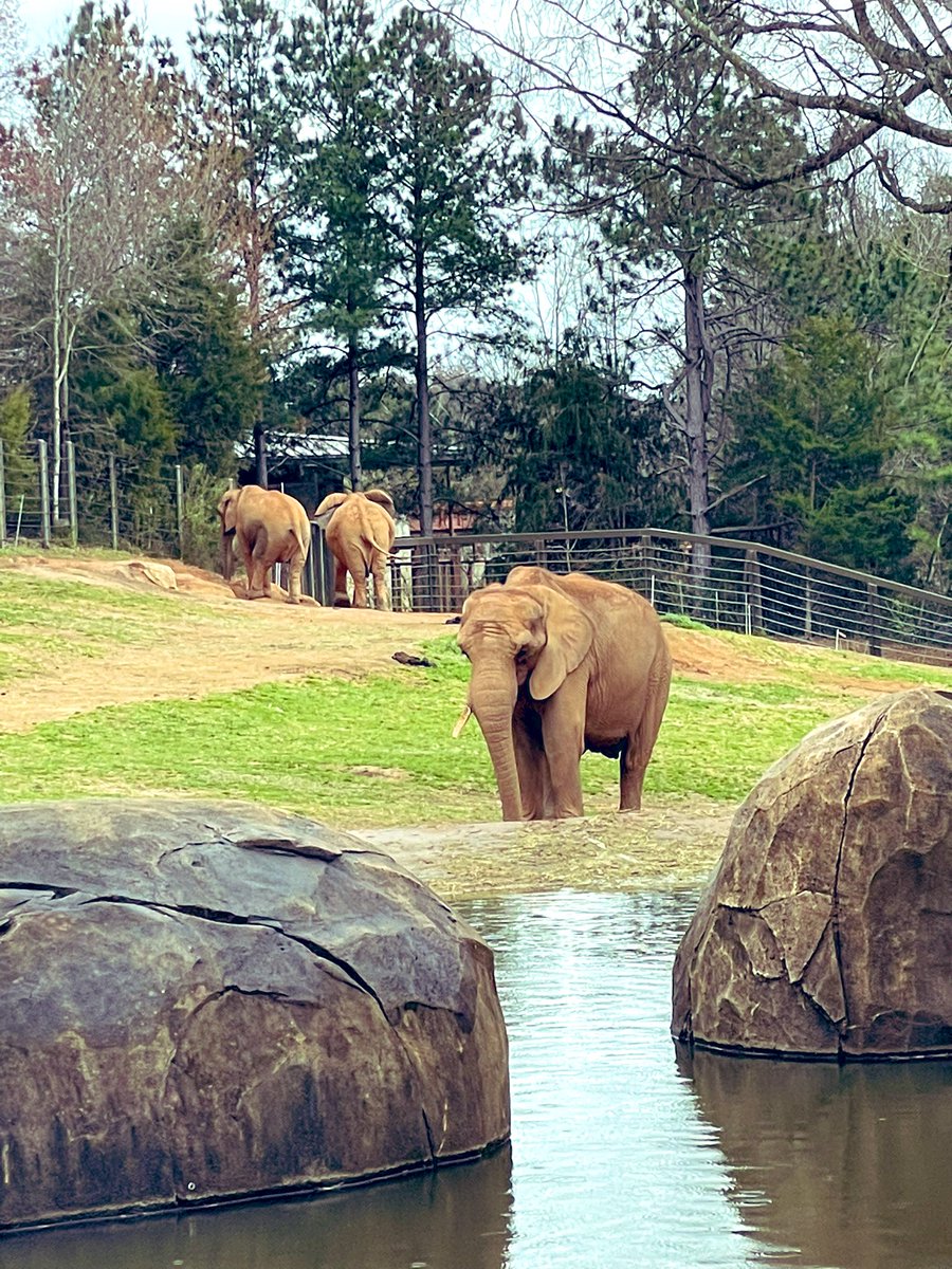 Brittany Campbell tweet media