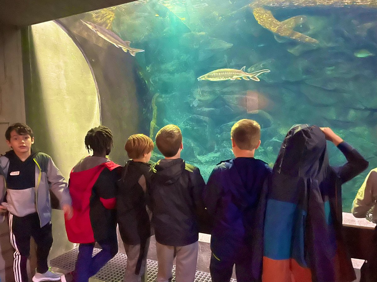 Brittany Campbell tweet media