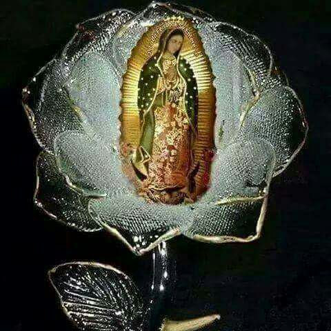 María Jesús Ulea (@uleajesus) on Twitter photo <a href="/ELIZABETHNRE/">ELIZABETH ROMERO</a> <a href="/d_mhg2014/">María H. G.</a> <a href="/abejaworld/">Silvia Hermida</a> <a href="/mjarmas08/">Maria Armas</a> <a href="/pgnora/">Nora Piña Ghazzaoui</a> <a href="/Noris39783822/">Noris</a> <a href="/newkike1/">@newkike</a> <a href="/Diosaqui007/">Gladys Mendez</a> <a href="/mickycastanedac/">👣💙 Maria</a> <a href="/ANABERTHAValde4/">ANA BERTHA Valdez De Sainz</a> <a href="/MerchyEstrella/">Merchy🇻🇪</a> <a href="/Sabirmasih11/">Sabirmasih</a> <a href="/MyrIR5/">Myr 😊😇</a> <a href="/d_mhg/">Maria H. G.</a> <a href="/Alejand33563944/">Alejandro Rivas</a> <a href="/oscardozou/">oscar e cardozo u</a> <a href="/lazaroyanes1/">lazaro yanes</a> <a href="/grrhodriguez/">gloria rodriguez</a> <a href="/Florecitajaibit/">Flor lolín</a> <a href="/ErikaSi96000027/">Jacqueline</a> <a href="/ariherrera4215/">ya no tengo está cuenta</a> <a href="/ernitaca26/">Ernis</a> <a href="/neronmcn/">Michel Neron</a> <a href="/SANFERALE/">Be Vila Señoráns</a> <a href="/blavadoj/">BEA 🦋</a> @NAYCA4 <a href="/JoseMar39201355/">Jose Martínez</a> <a href="/Migueln18076774/">Miguel Ángel Huerta</a> <a href="/julyprado40/">Julia Prado</a> <a href="/ana_maria987/">Ana Maria Grimao</a> <a href="/XimPete/">Familia Olguin Pobl</a> <a href="/Lmaria_victoria/">Maria Victoria 🇦🇷🏹🎯✝️📿</a> <a href="/CoachWilmarR/">Reflexiones</a> <a href="/juanitadesilvio/">Juanita</a> <a href="/solechesoluma/">Antonia Palacios #𝔏𝔦𝔤𝔞𝔇𝔢𝔊𝔲𝔢𝔯𝔯𝔢𝔯𝔬𝔰</a> <a href="/makave1954/">Maricarmen Malaver</a> <a href="/MLucia_martinez/">Lucia Martinez</a> <a href="/Relizabara/">Rhina Aragon</a> <a href="/anselmina07/">Anselmina</a> <a href="/bernardettance/">Bernadette Ancelle</a> <a href="/esedonluis64/">Luis Peña</a> <a href="/Susympb/">Susy</a> <a href="/RosiB_C/">Rosi_BC</a> <a href="/arauorinoco/">arauca orinoco</a> <a href="/JohannArleyR/">Johann</a> <a href="/pachas14/">Francisco Esparza</a> <a href="/soybenito7/">Benito... 🐧</a> <a href="/nelida_mirtha/">Mirtha Nelida Castro</a> <a href="/almardo23/">almardo23</a> #RezandoElRosarioDeMaría
Hoy Ofrecemos el #SantoRosario.
🌻Por todos los enfermos de covid-19.
🌻Los enfermos de cáncer.
🌻Oremos por todos los enfermos del Mundo Entero que están luchando por su vida. Señor te rogamos.. <a href="/ELIZABETHNRE/">ELIZABETH ROMERO</a> <a href="/d_mhg2014/">María H. G.</a> <a href="/abejaworld/">Silvia Hermida</a> <a href="/mjarmas08/">Maria Armas</a> <a href="/pgnora/">Nora Piña Ghazzaoui</a> <a href="/Noris39783822/">Noris</a> <a href="/newkike1/">@newkike</a> <a href="/Diosaqui007/">Gladys Mendez</a> <a href="/mickycastanedac/">👣💙 Maria</a> <a href="/ANABERTHAValde4/">ANA BERTHA Valdez De Sainz</a> <a href="/MerchyEstrella/">Merchy🇻🇪</a> <a href="/Sabirmasih11/">Sabirmasih</a> <a href="/MyrIR5/">Myr 😊😇</a> <a href="/d_mhg/">Maria H. G.</a> <a href="/Alejand33563944/">Alejandro Rivas</a> <a href="/oscardozou/">oscar e cardozo u</a> <a href="/lazaroyanes1/">lazaro yanes</a> <a href="/grrhodriguez/">gloria rodriguez</a> <a href="/Florecitajaibit/">Flor lolín</a> <a href="/ErikaSi96000027/">Jacqueline</a> <a href="/ariherrera4215/">ya no tengo está cuenta</a> <a href="/ernitaca26/">Ernis</a> <a href="/neronmcn/">Michel Neron</a> <a href="/SANFERALE/">Be Vila Señoráns</a> <a href="/blavadoj/">BEA 🦋</a> @NAYCA4 <a href="/JoseMar39201355/">Jose Martínez</a> <a href="/Migueln18076774/">Miguel Ángel Huerta</a> <a href="/julyprado40/">Julia Prado</a> <a href="/ana_maria987/">Ana Maria Grimao</a> <a href="/XimPete/">Familia Olguin Pobl</a> <a href="/Lmaria_victoria/">Maria Victoria 🇦🇷🏹🎯✝️📿</a> <a href="/CoachWilmarR/">Reflexiones</a> <a href="/juanitadesilvio/">Juanita</a> <a href="/solechesoluma/">Antonia Palacios #𝔏𝔦𝔤𝔞𝔇𝔢𝔊𝔲𝔢𝔯𝔯𝔢𝔯𝔬𝔰</a> <a href="/makave1954/">Maricarmen Malaver</a> <a href="/MLucia_martinez/">Lucia Martinez</a> <a href="/Relizabara/">Rhina Aragon</a> <a href="/anselmina07/">Anselmina</a> <a href="/bernardettance/">Bernadette Ancelle</a> <a href="/esedonluis64/">Luis Peña</a> <a href="/Susympb/">Susy</a> <a href="/RosiB_C/">Rosi_BC</a> <a href="/arauorinoco/">arauca orinoco</a> <a href="/JohannArleyR/">Johann</a> <a href="/pachas14/">Francisco Esparza</a> <a href="/soybenito7/">Benito... 🐧</a> <a href="/nelida_mirtha/">Mirtha Nelida Castro</a> <a href="/almardo23/">almardo23</a> #RezandoElRosarioDeMaría
Hoy Ofrecemos el #SantoRosario.
🌻Por todos los enfermos de covid-19.
🌻Los enfermos de cáncer.
🌻Oremos por todos los enfermos del Mundo Entero que están luchando por su vida. Señor te rogamos..