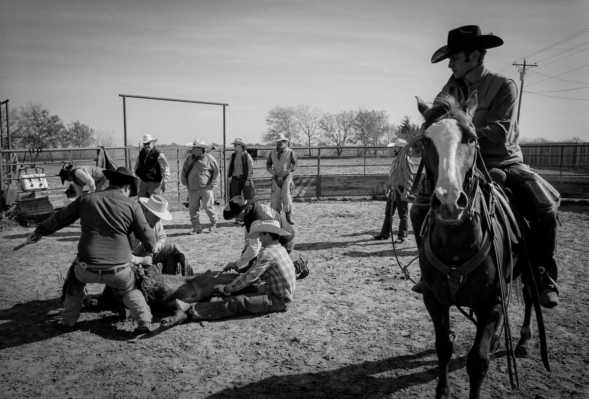 RobZeigler's tweet photo. My work allows me to document the American West for future generations to experience.

These 35mm B&amp;W photographs are a historical record of cowboy life today and how similar it is to a time long since past.

MODERN COWBOYS: GENESIS COLLECTION
(0.1Ξ)  👇

https://t.co/PW1QN7wo0F https://t.co/puDXk3RIod