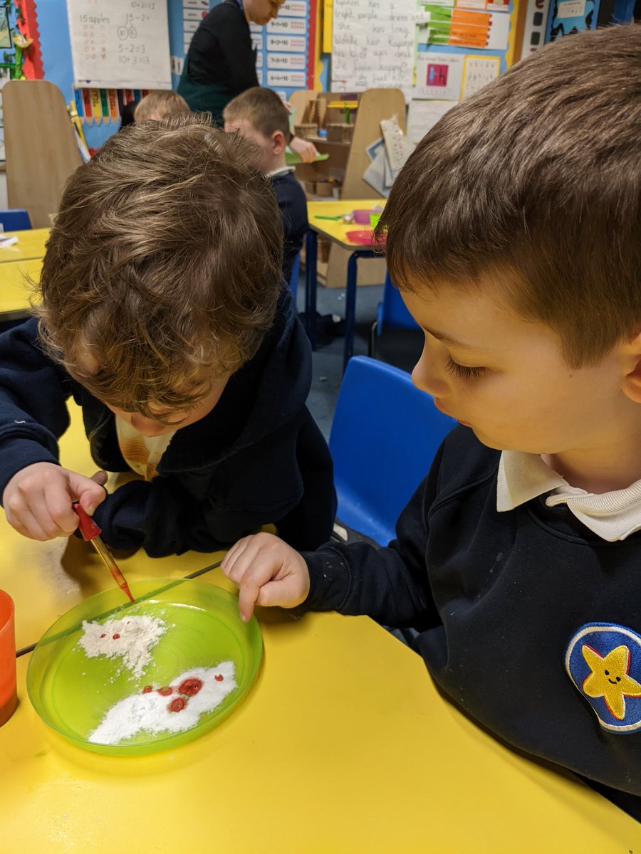 ChetwyndSpencer's tweet photo. Plant investigation, chemical reactions and magnets. So much science enquiry in Hedgehogs today. #BritishScienceWeek2022 #Satrust https://t.co/UblVP3rQPG