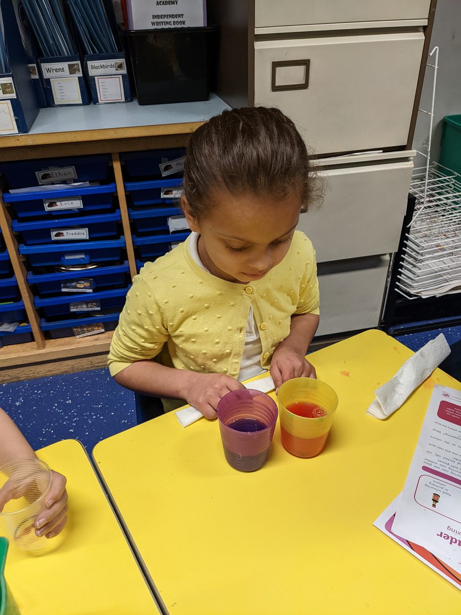 ChetwyndSpencer's tweet photo. Plant investigation, chemical reactions and magnets. So much science enquiry in Hedgehogs today. #BritishScienceWeek2022 #Satrust https://t.co/UblVP3rQPG