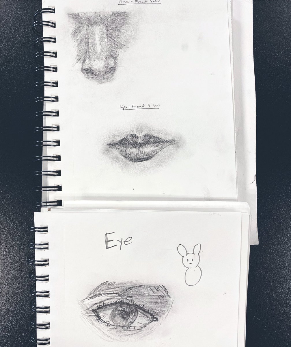 ms_bock_art's tweet photo. 👁 I-spy with my little eye…some AMAZING facial feature studies by 8th grade studio art! They have shown so much growth in their drawings. https://t.co/C2cR0COe5G
